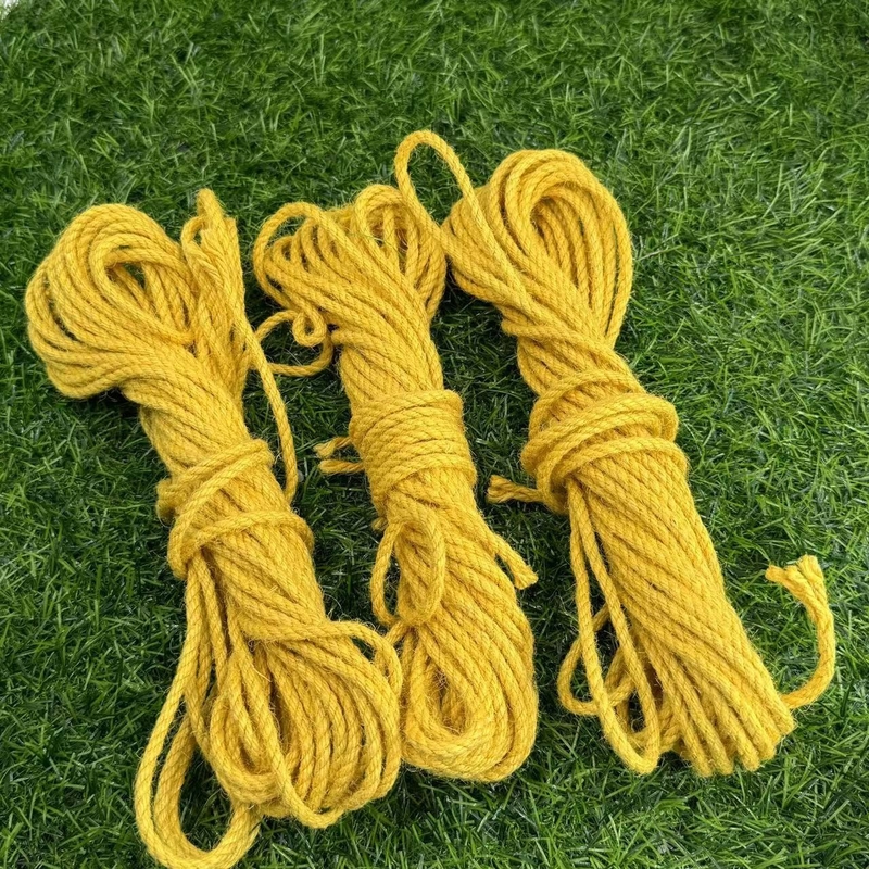 Colore personalizzato Corda di fibra di giuta stretta e torciata per esigenze personalizzate